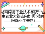 湖南商务职业技术学院毕业生就业大致去向如何(湘商院毕业生去向)
