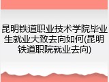 昆明铁道职业技术学院毕业生就业大致去向如何(昆明铁道职院就业去向)