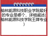 榆林能源科技职业学院最好的专业是哪个，详细阐述(榆林能源科技学院王牌专业)