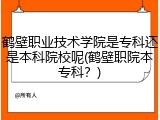 鹤壁职业技术学院是专科还是本科院校呢(鹤壁职院本专科？)