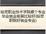 哈密职业技术学院哪个专业毕业就业前景比较好(哈密职院好就业专业)