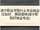 遂宁职业学院什么专业就业比较好，原因是啥(遂宁职院好就业专业)