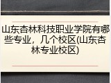 山东杏林科技职业学院有哪些专业，几个校区(山东杏林专业校区)