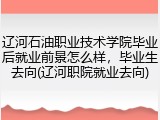 辽河石油职业技术学院毕业后就业前景怎么样，毕业生去向(辽河职院就业去向)