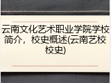 云南文化艺术职业学院学校简介，校史概述(云南艺校校史)