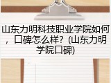 山东力明科技职业学院如何，口碑怎么样？(山东力明学院口碑)