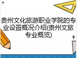 贵州文化旅游职业学院的专业设置概况介绍(贵州文旅专业概览)