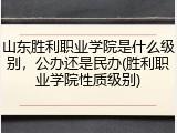 山东胜利职业学院是什么级别，公办还是民办(胜利职业学院性质级别)