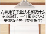 安徽扬子职业技术学院什么专业最好，一年招多少人(安徽扬子热门专业招生)
