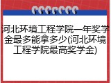 河北环境工程学院一年奖学金最多能拿多少(河北环境工程学院最高奖学金)