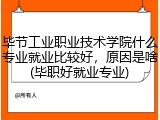 毕节工业职业技术学院什么专业就业比较好，原因是啥(毕职好就业专业)