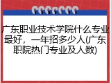 广东职业技术学院什么专业最好，一年招多少人(广东职院热门专业及人数)