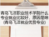 青岛飞洋职业技术学院什么专业就业比较好，原因是啥(青岛飞洋就业优势专业)