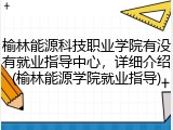 榆林能源科技职业学院有没有就业指导中心，详细介绍(榆林能源学院就业指导)