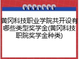 黄冈科技职业学院共开设有哪些类型奖学金(黄冈科技职院奖学金种类)