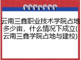云南三鑫职业技术学院占地多少亩，什么情况下成立(云南三鑫学院占地与建校)