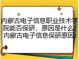 内蒙古电子信息职业技术学院能否保研，原因是什么(内蒙古电子信息保研原因)