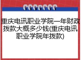 重庆电讯职业学院一年财政拨款大概多少钱(重庆电讯职业学院年拨款)
