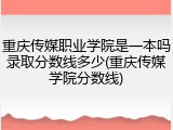重庆传媒职业学院是一本吗录取分数线多少(重庆传媒学院分数线)