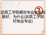 武昌工学院哪些专业就业前景好，为什么(武昌工学院好就业专业)
