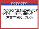 山东文化产业职业学院有多少学生，师资力量如何(山东文产院师生规模)