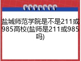 盐城师范学院是不是211或985高校(盐师是211或985吗)