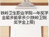 铁岭卫生职业学院一年奖学金最多能拿多少(铁岭卫院奖学金上限)