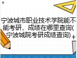 宁波城市职业技术学院能不能考研，成绩在哪里查询(宁波城院考研成绩查询)