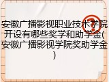 安徽广播影视职业技术学院开设有哪些奖学和助学金(安徽广播影视学院奖助学金)