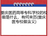 重庆医药高等专科学校的校徽是什么，有何来历(重庆医专校徽含义)