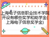 上海电子信息职业技术学院开设有哪些奖学和助学金(上海电子信息奖学金)