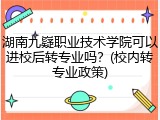 湖南九嶷职业技术学院可以进校后转专业吗？(校内转专业政策)