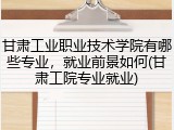 甘肃工业职业技术学院有哪些专业，就业前景如何(甘肃工院专业就业)