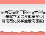 湖南石油化工职业技术学院一年奖学金最多能拿多少(湖南石化奖学金最高额度)