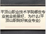 平顶山职业技术学院哪些专业就业前景好，为什么(平顶山职院好就业专业)