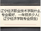 辽宁经济职业技术学院什么专业最好，一年招多少人(辽宁经济学院专业招生)