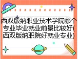 西双版纳职业技术学院哪个专业毕业就业前景比较好(西双版纳职院好就业专业)