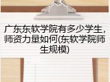 广东东软学院有多少学生，师资力量如何(东软学院师生规模)