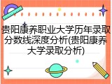 贵阳康养职业大学历年录取分数线深度分析(贵阳康养大学录取分析)