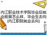 内江职业技术学院毕业后就业前景怎么样，毕业生去向(内江职院就业去向)