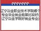 辽宁冶金职业技术学院哪个专业毕业就业前景比较好(辽宁冶金学院好就业专业)