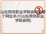 山东商务职业学院官网是哪个网址多少(山东商务职业学院官网)