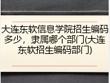 大连东软信息学院招生编码多少，隶属哪个部门(大连东软招生编码部门)