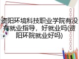 资阳环境科技职业学院有没有就业指导，好就业吗(资阳环院就业好吗)