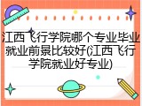 江西飞行学院哪个专业毕业就业前景比较好(江西飞行学院就业好专业)