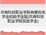 共青科技职业学院有哪些奖学金和助学金呢(共青科技职业学院奖助学金)