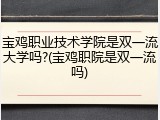 宝鸡职业技术学院是双一流大学吗?(宝鸡职院是双一流吗)