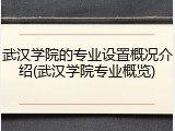 武汉学院的专业设置概况介绍(武汉学院专业概览)