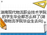 湖南现代物流职业技术学院的学生毕业都怎么样了(湖南物流学院毕业生去向)