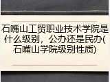 石嘴山工贸职业技术学院是什么级别，公办还是民办(石嘴山学院级别性质)